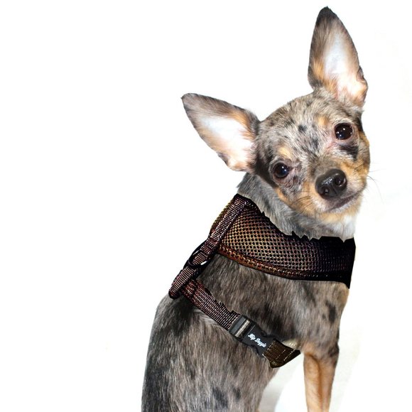 Ultra Comfort Harness Vest - Brown - Picture 4 of 4